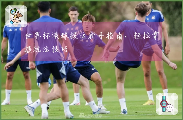 世界杯滚球投注新手指南，轻松掌握玩法技巧