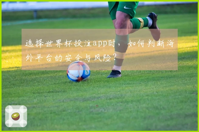 选择世界杯投注app时，如何判断海外平台的安全与风险？