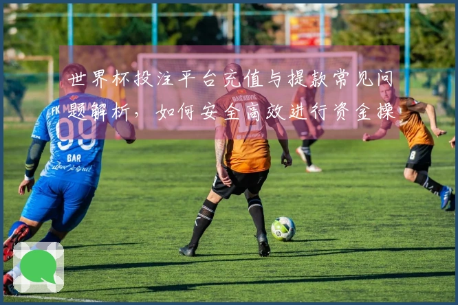 世界杯投注平台充值与提款常见问题解析，如何安全高效进行资金操作