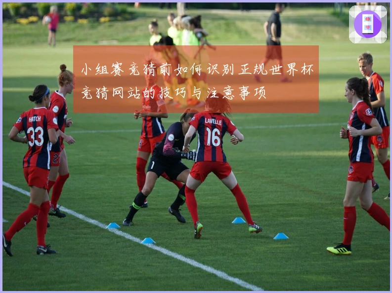 小组赛竞猜前如何识别正规世界杯竞猜网站的技巧与注意事项