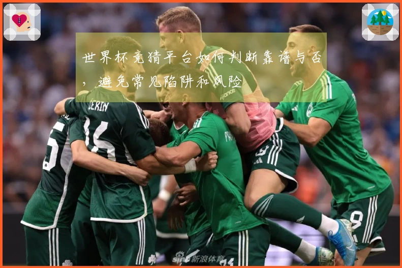 世界杯竞猜平台如何判断靠谱与否，避免常见陷阱和风险