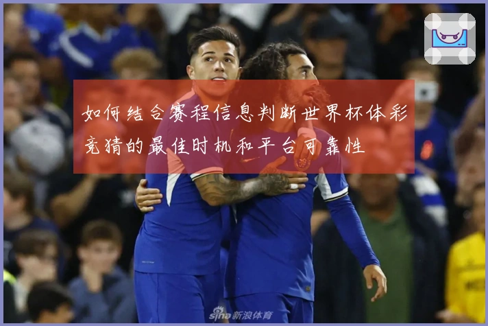 如何结合赛程信息判断世界杯体彩竞猜的最佳时机和平台可靠性