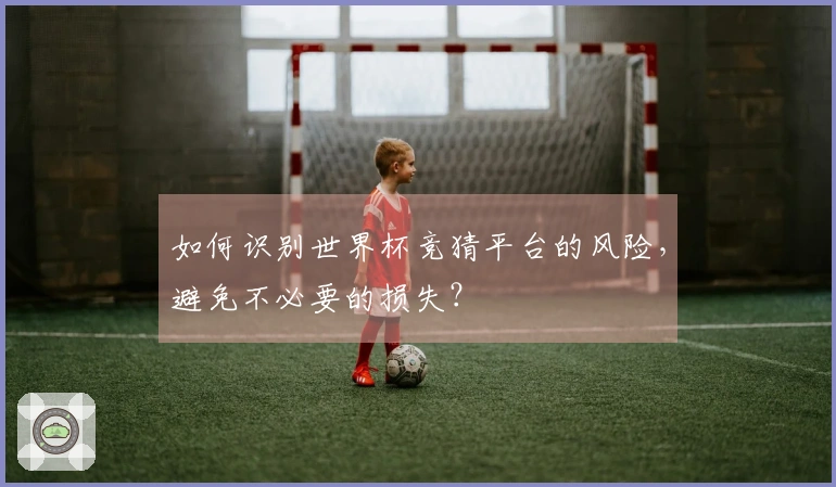 如何识别世界杯竞猜平台的风险，避免不必要的损失？