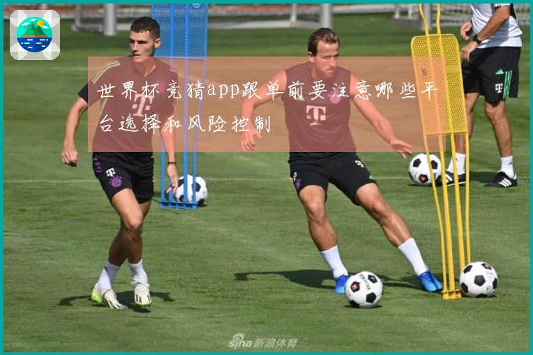 世界杯竞猜app跟单前要注意哪些平台选择和风险控制