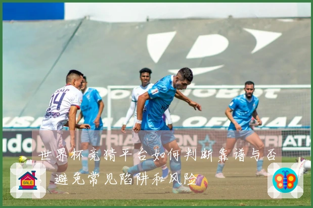 世界杯竞猜平台如何判断靠谱与否，避免常见陷阱和风险