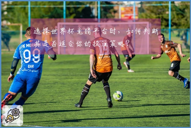 选择世界杯竞猜平台时，如何判断其是否适合你的投注策略？