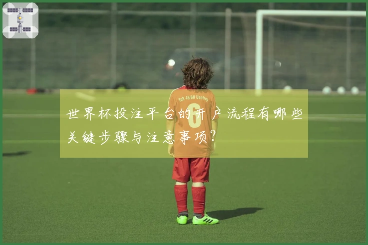 世界杯投注平台的开户流程有哪些关键步骤与注意事项？