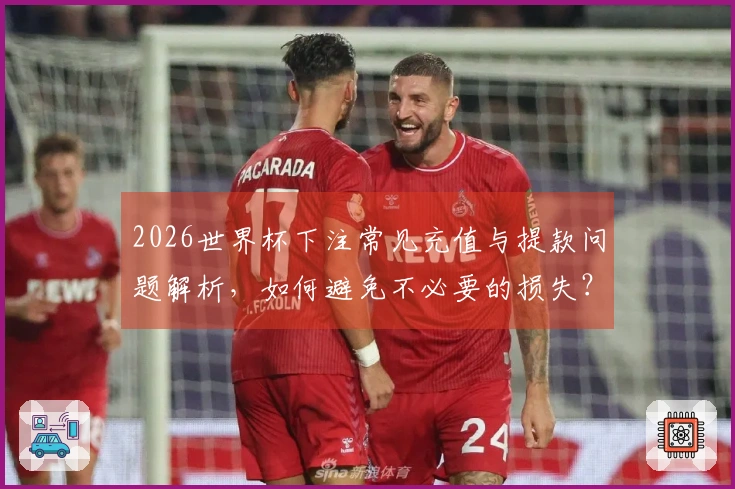 2026世界杯下注常见充值与提款问题解析，如何避免不必要的损失？