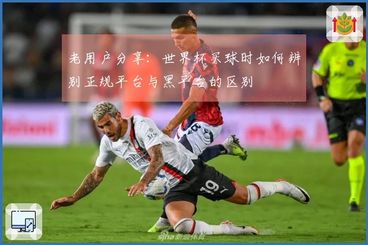 老用户分享：世界杯买球时如何辨别正规平台与黑平台的区别