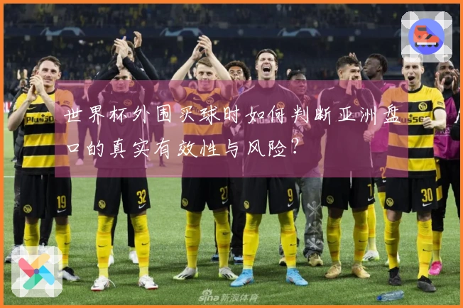 世界杯外围买球时如何判断亚洲盘口的真实有效性与风险？