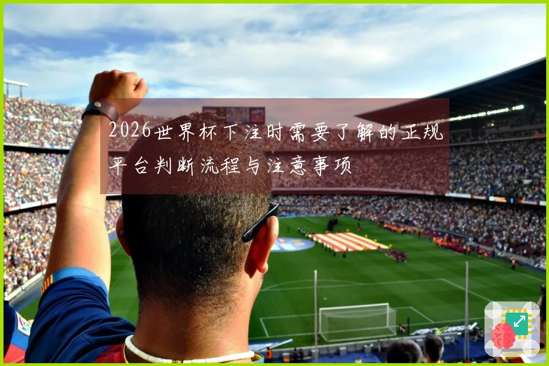 2026世界杯下注时需要了解的正规平台判断流程与注意事项