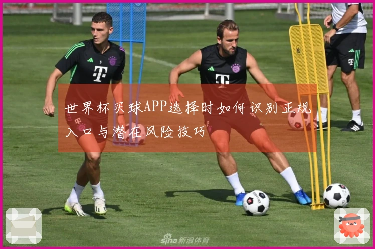 世界杯买球APP选择时如何识别正规入口与潜在风险技巧