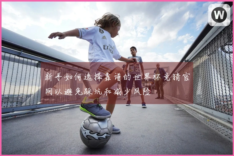 新手如何选择靠谱的世界杯竞猜官网以避免踩坑和减少风险
