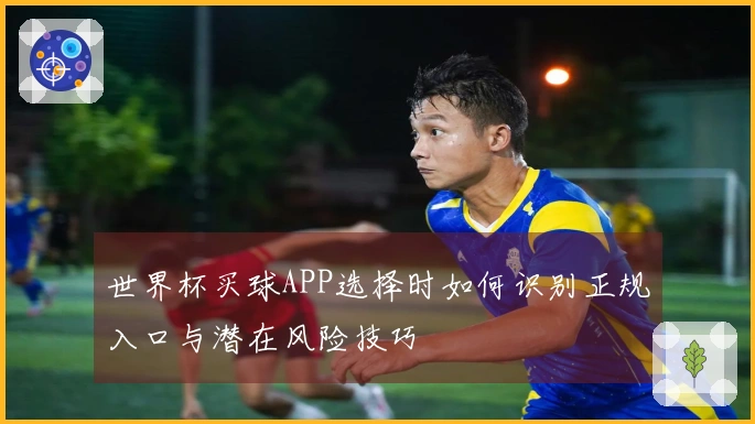 世界杯买球APP选择时如何识别正规入口与潜在风险技巧