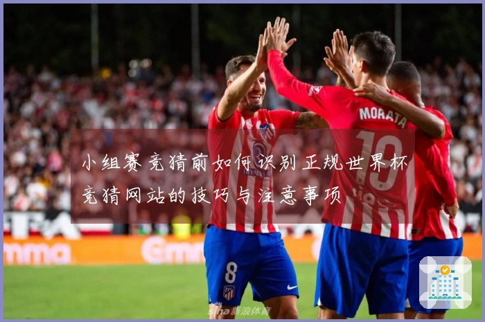 小组赛竞猜前如何识别正规世界杯竞猜网站的技巧与注意事项