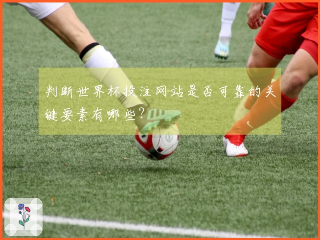 判断世界杯投注网站是否可靠的关键要素有哪些？
