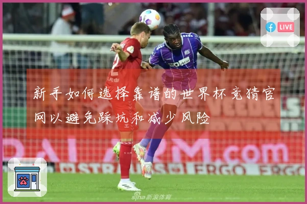 新手如何选择靠谱的世界杯竞猜官网以避免踩坑和减少风险