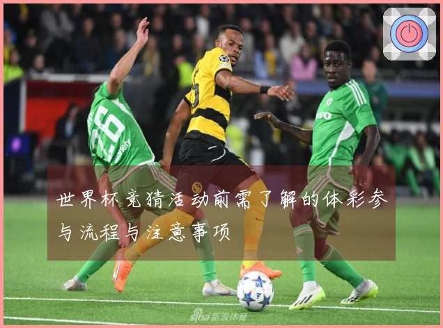 世界杯竞猜活动前需了解的体彩参与流程与注意事项