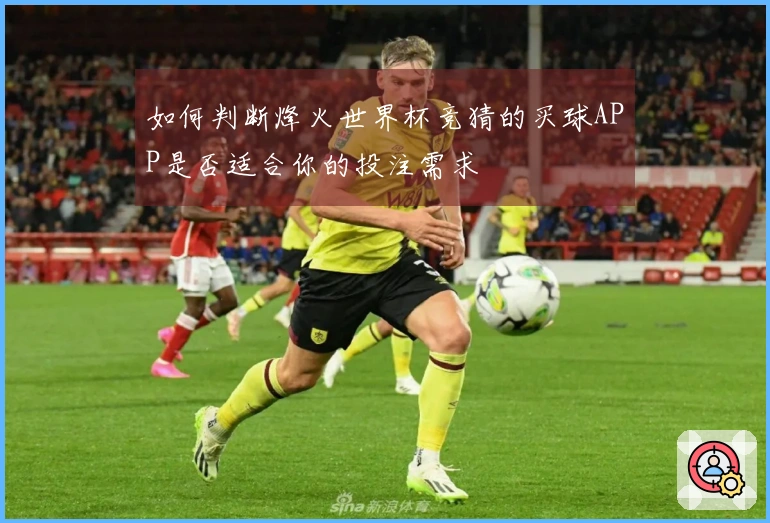 如何判断烽火世界杯竞猜的买球APP是否适合你的投注需求
