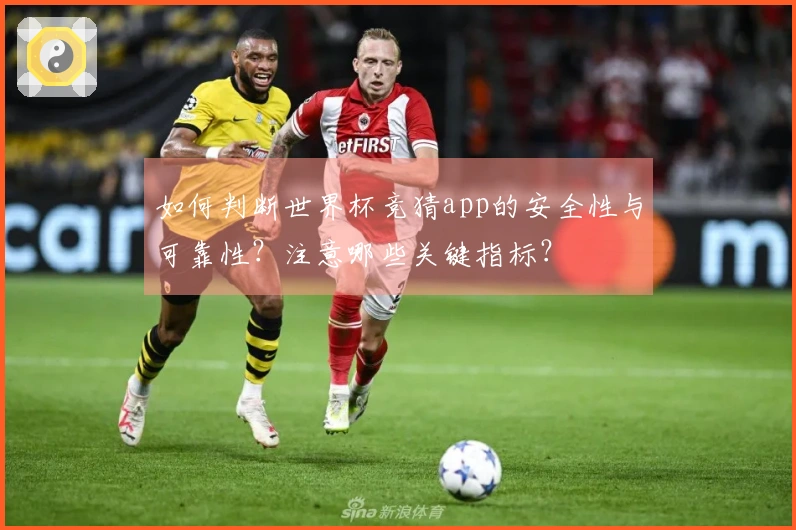 如何判断世界杯竞猜app的安全性与可靠性？注意哪些关键指标？