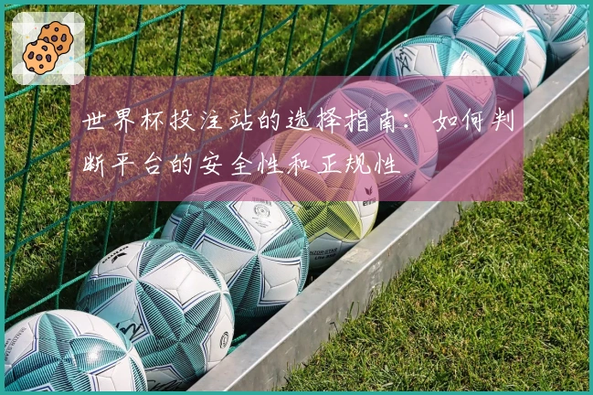 世界杯投注站的选择指南：如何判断平台的安全性和正规性