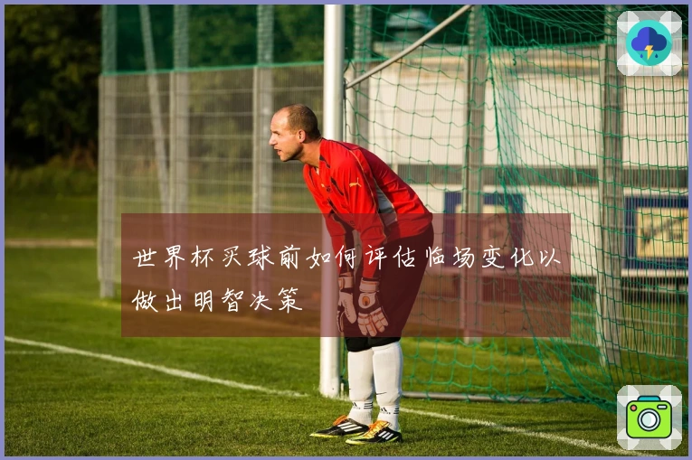 世界杯买球前如何评估临场变化以做出明智决策