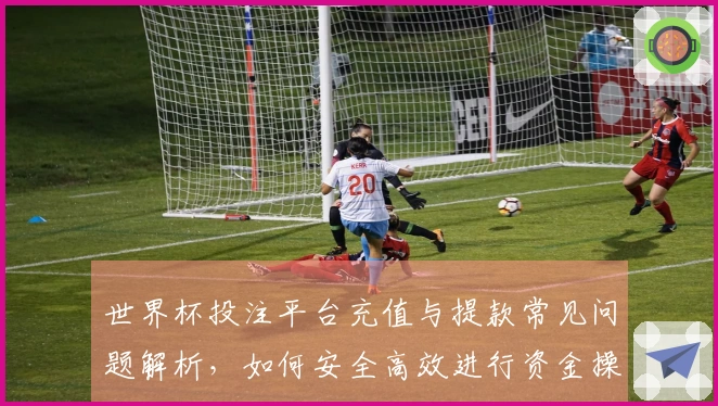 世界杯投注平台充值与提款常见问题解析，如何安全高效进行资金操作
