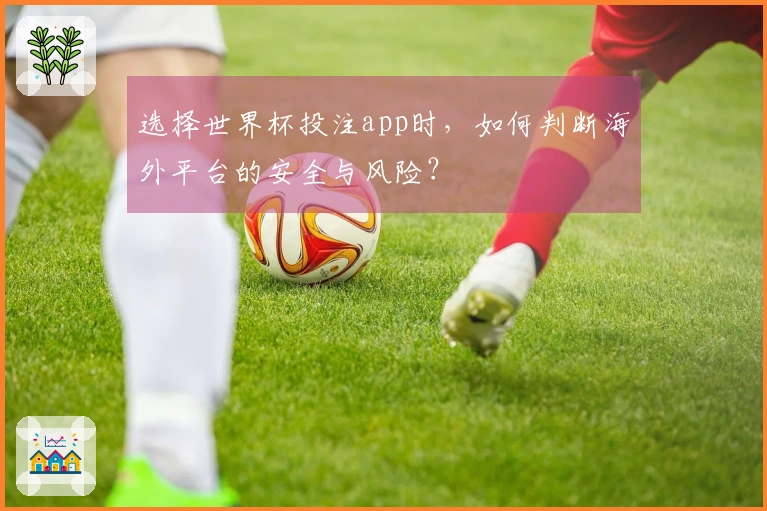 选择世界杯投注app时，如何判断海外平台的安全与风险？