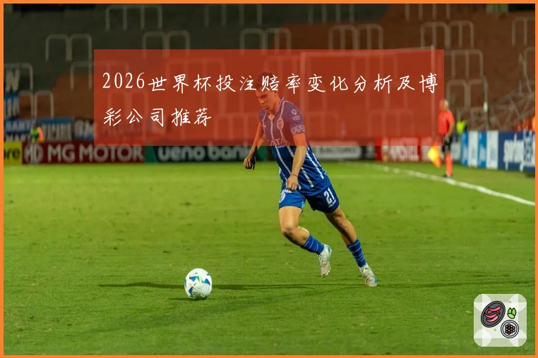 2026世界杯投注赔率变化分析及博彩公司推荐