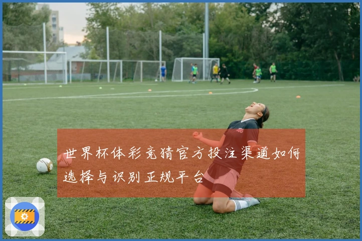 世界杯体彩竞猜官方投注渠道如何选择与识别正规平台