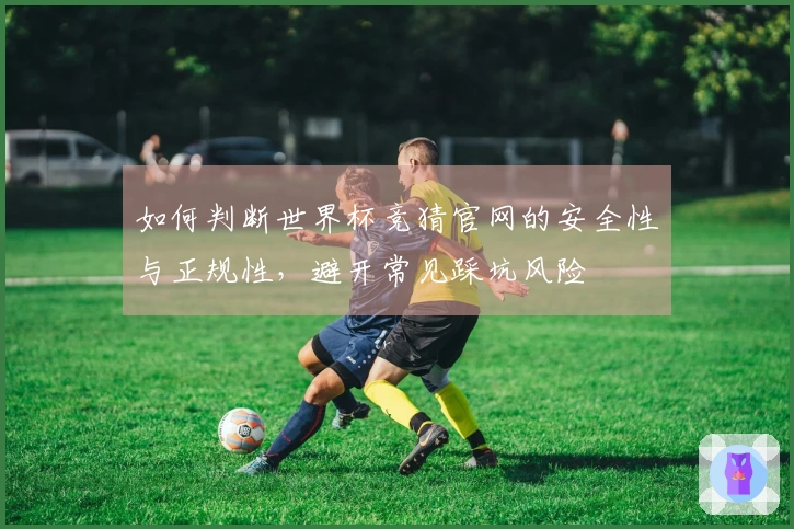 如何判断世界杯竞猜官网的安全性与正规性，避开常见踩坑风险