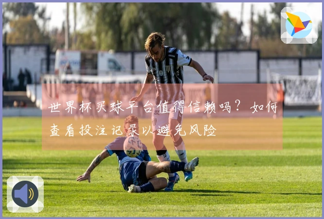 世界杯买球平台值得信赖吗？如何查看投注记录以避免风险