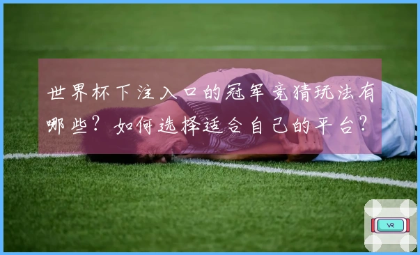 世界杯下注入口的冠军竞猜玩法有哪些？如何选择适合自己的平台？