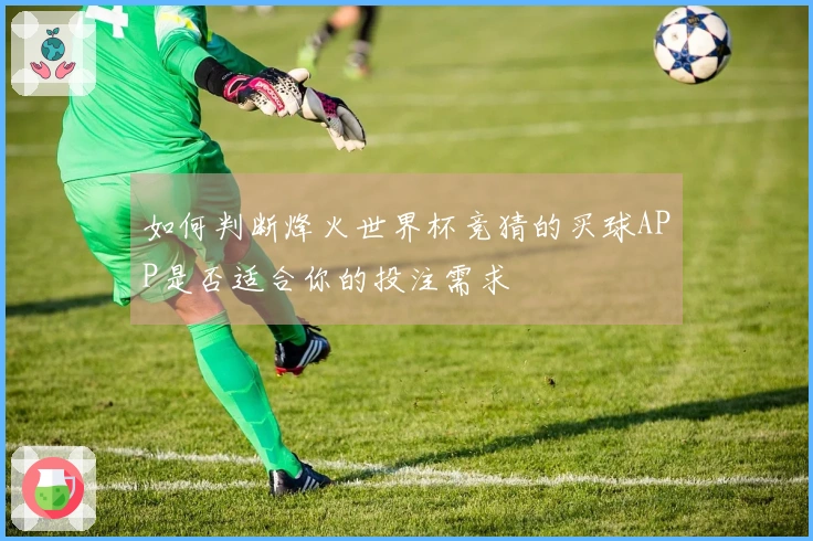 如何判断烽火世界杯竞猜的买球APP是否适合你的投注需求